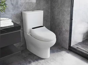 Hycare Neptune Bidet Toilet
