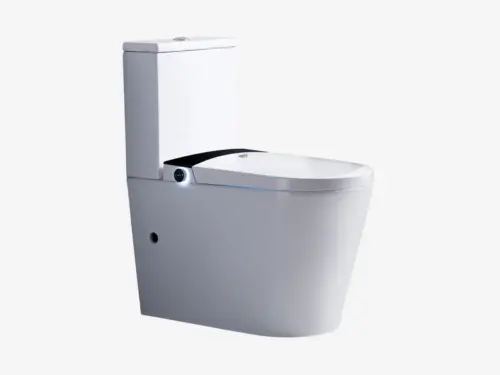 Hycare Apex Smart Toilet